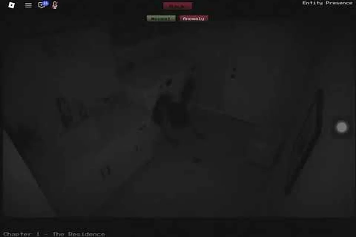 Anomaly Detected False Anomalies: Decoy Spotting & Penalty